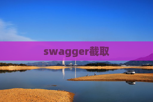 swagger截取